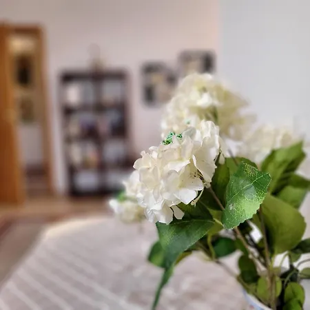 Apartment Leonore Bad Mitterndorf